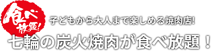 炭火焼肉食べ放題の焼肉マイスター かなchan.